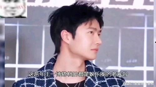 娱乐综艺吃瓜儿小说,吃瓜小说里的娱乐圈秘闻