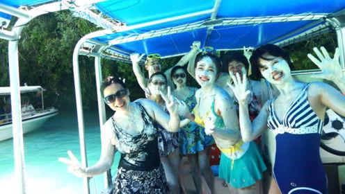 娱乐吃瓜君绵羊