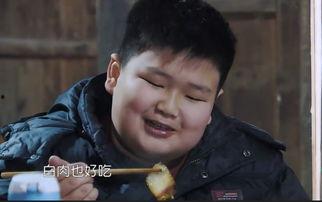 太子爷吃瓜娱乐圈,娱乐圈风云再起