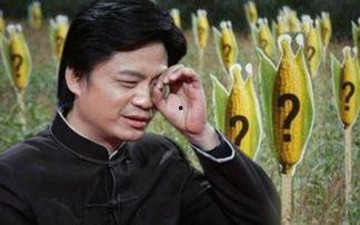 娱乐圈吃瓜老炮儿导演,揭秘吃瓜老炮儿导演的幕后故事